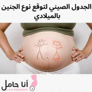 الجدول الصيني لتوقع نوع الجنين بالميلادي 