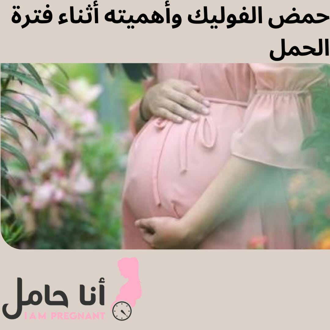 حمض الفوليك وأهميته أثناء فترة الحمل