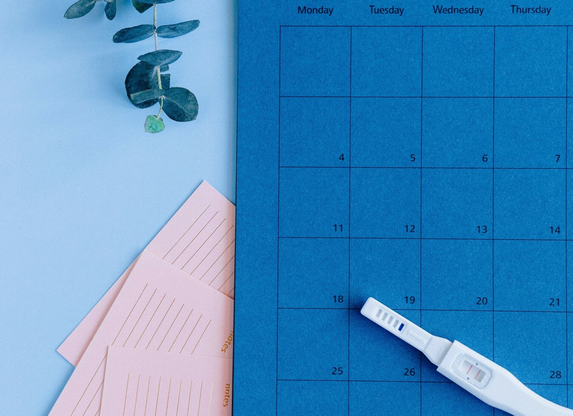 أعراض الإباضة