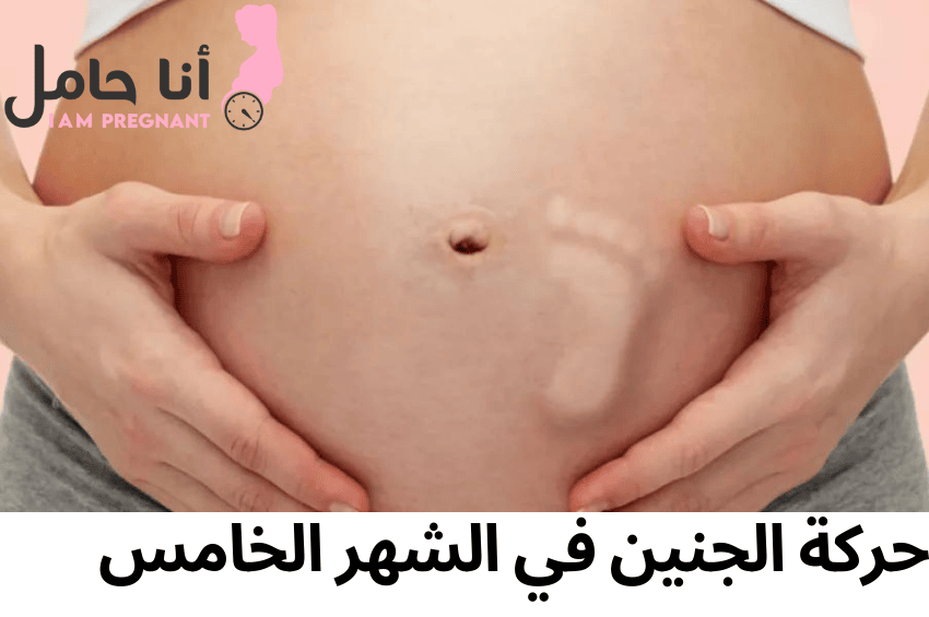 حركة الجنين في الشهر الخامس
