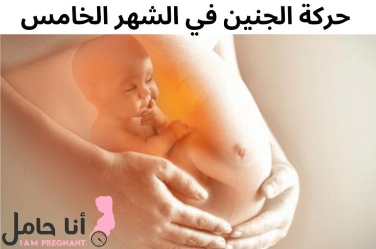 حركة الجنين في الشهر الخامس