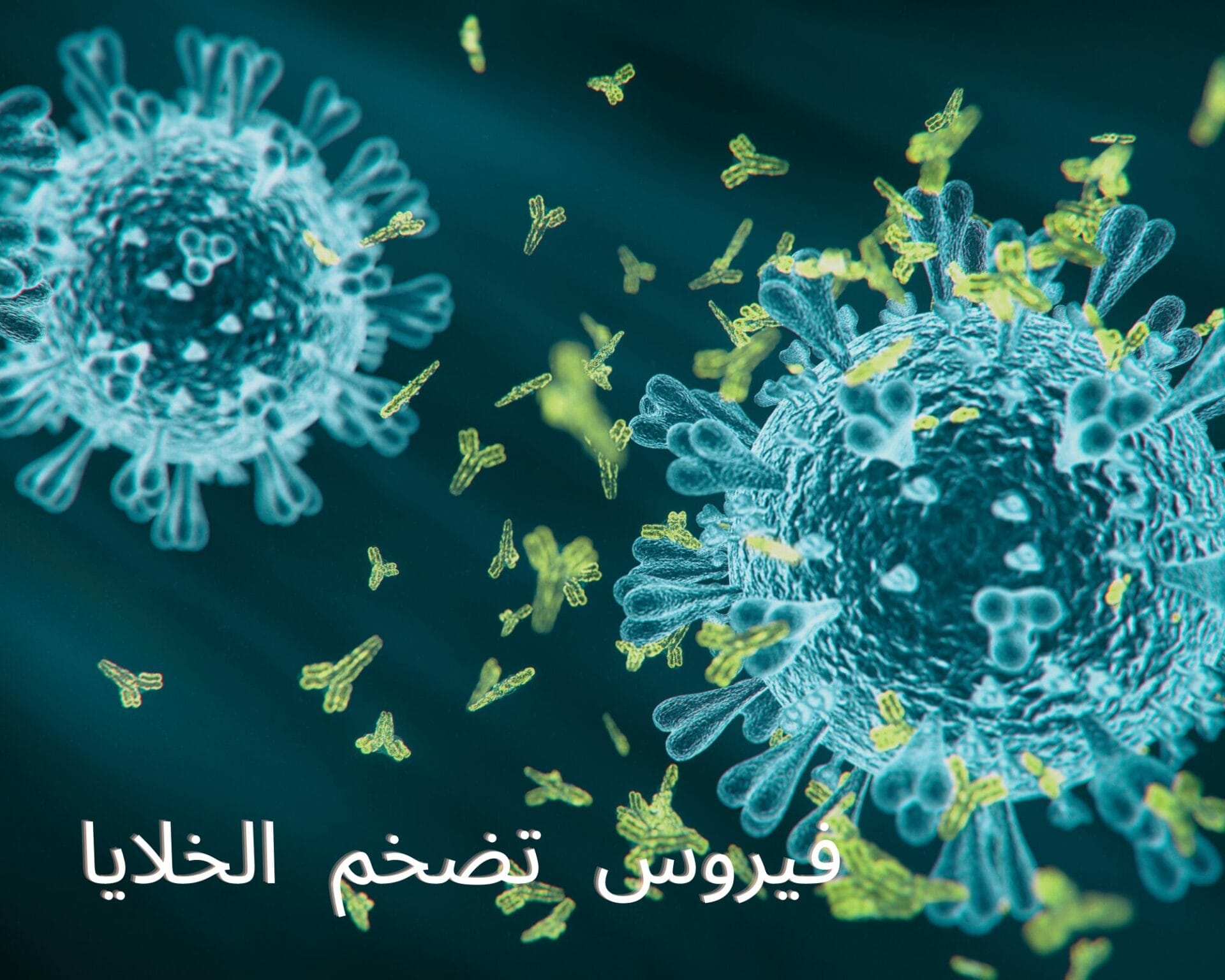 فيروس تضخم الخلايا